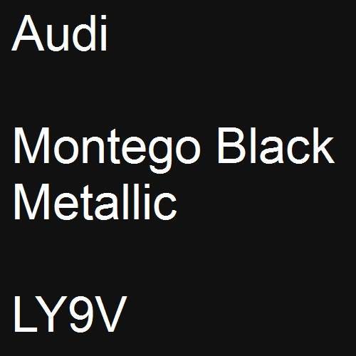 Audi, Montego Black Metallic, LY9V.